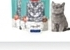 Wanpy Cat Treats