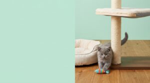 Corrugated Cardboard Cat Scratcher Lounger with Catnip
