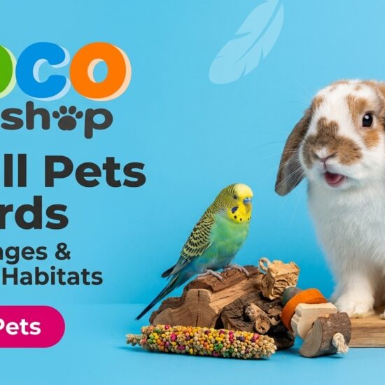 promo_small_pets